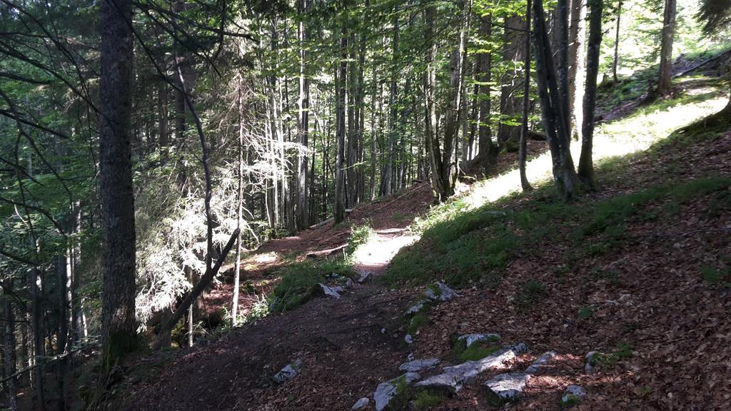 Postalm Lodge Seidegg 외부 사진